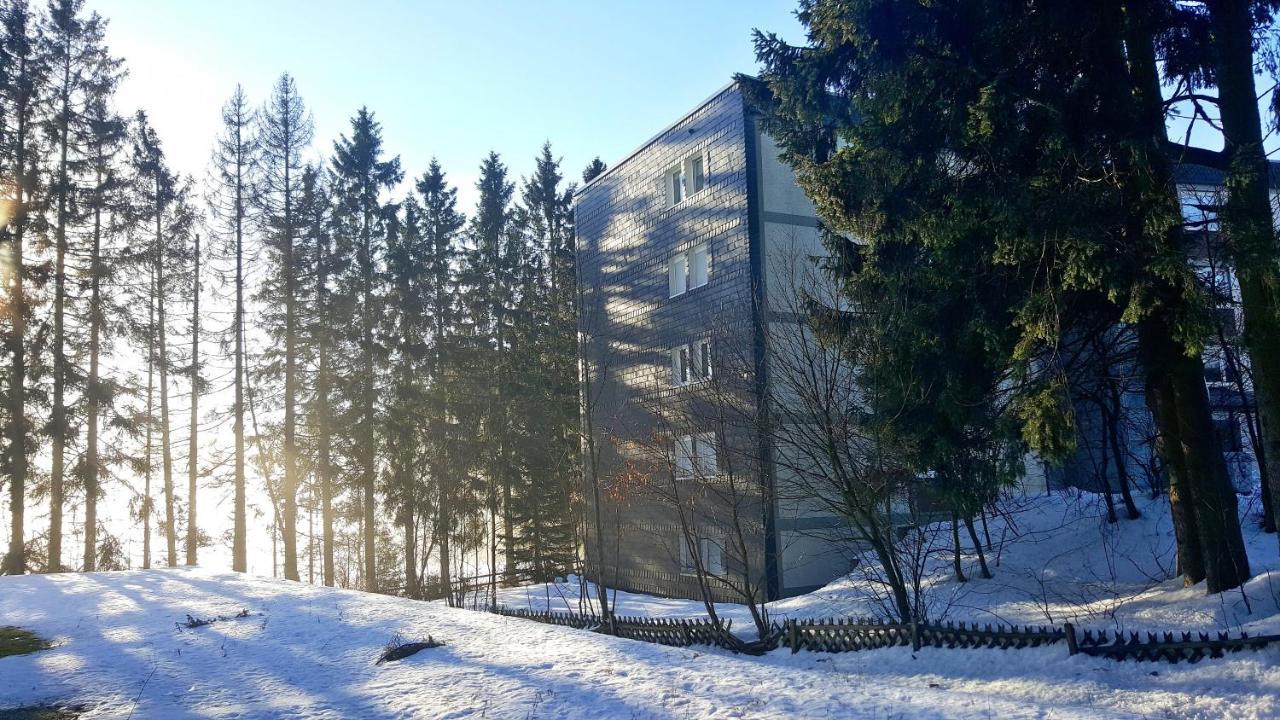 Ferienappartement Winterberg - Bikepark Um Die Ecke Exterior foto